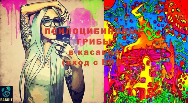 гидра Белоозёрский
