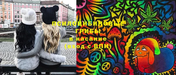 мдма Белокуриха